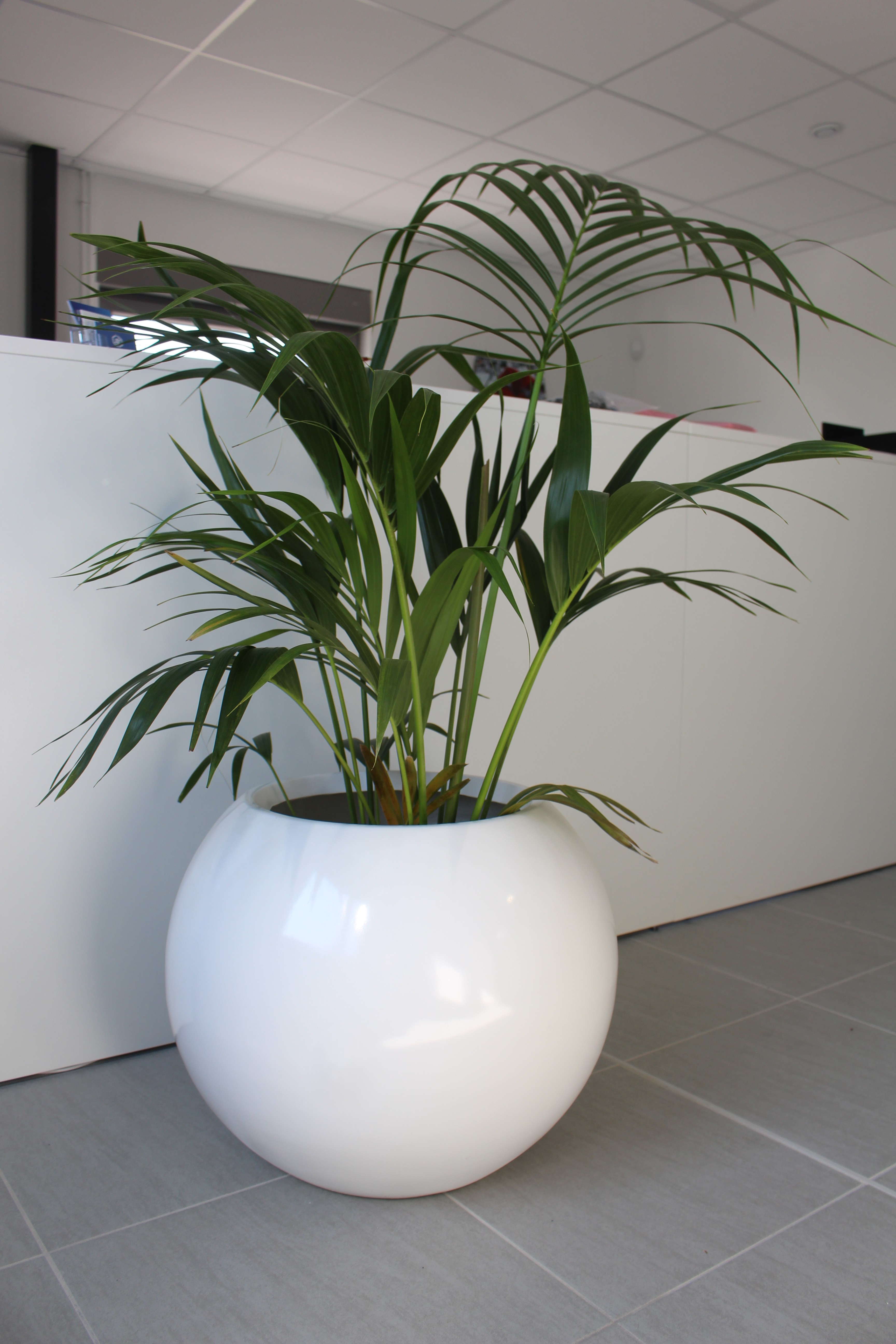 Jardinière sphérique - SPHERO